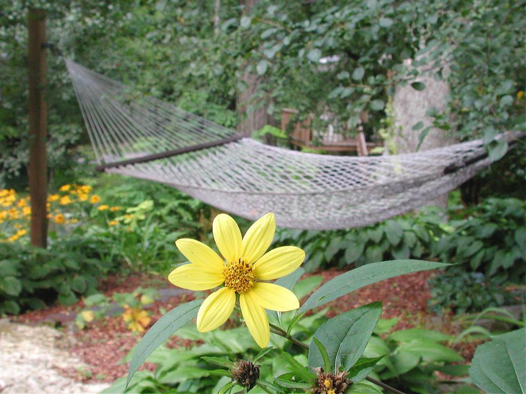 Brook Farm Inn Lenox Extérieur photo